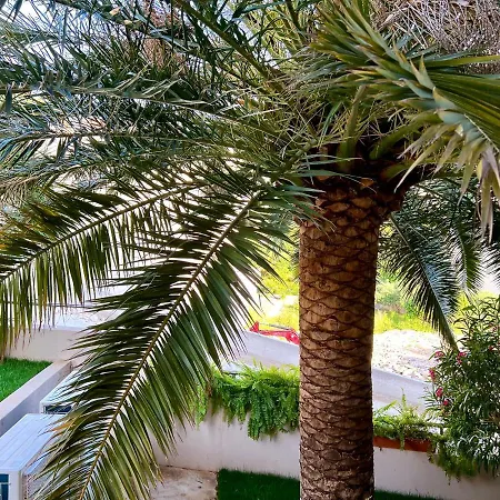 Appartement Romana Ii Omiš