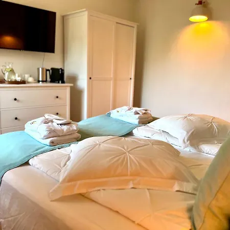 Romana Ii 公寓 奥米什