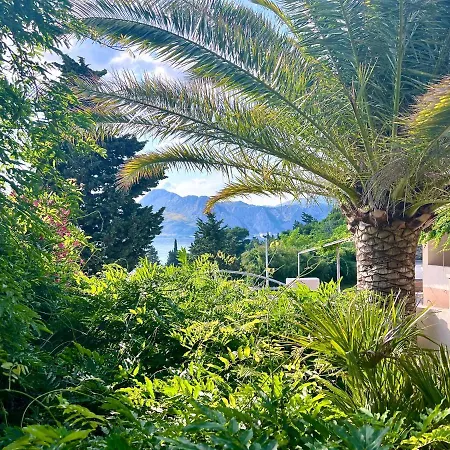 Apartman Romana Ii