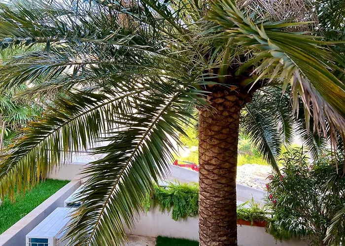 Apartman Romana Ii Omiš