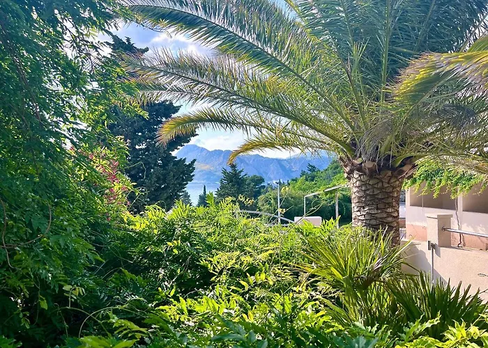 Appartement Romana Ii
